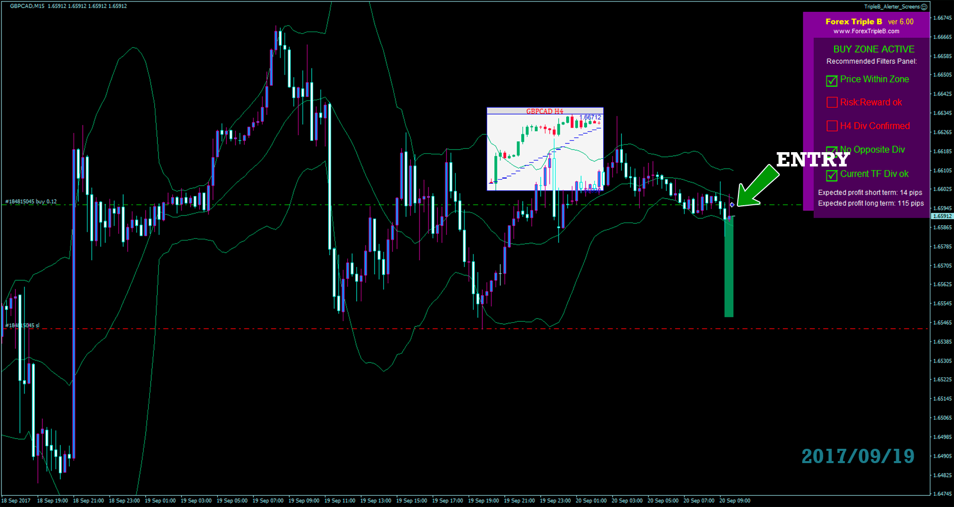 Forex Triple B | Home