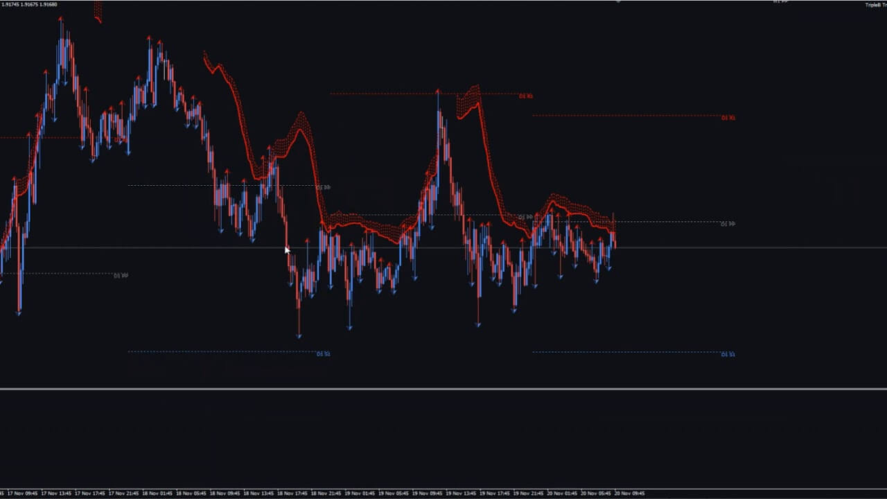 Forex Triple B | Home