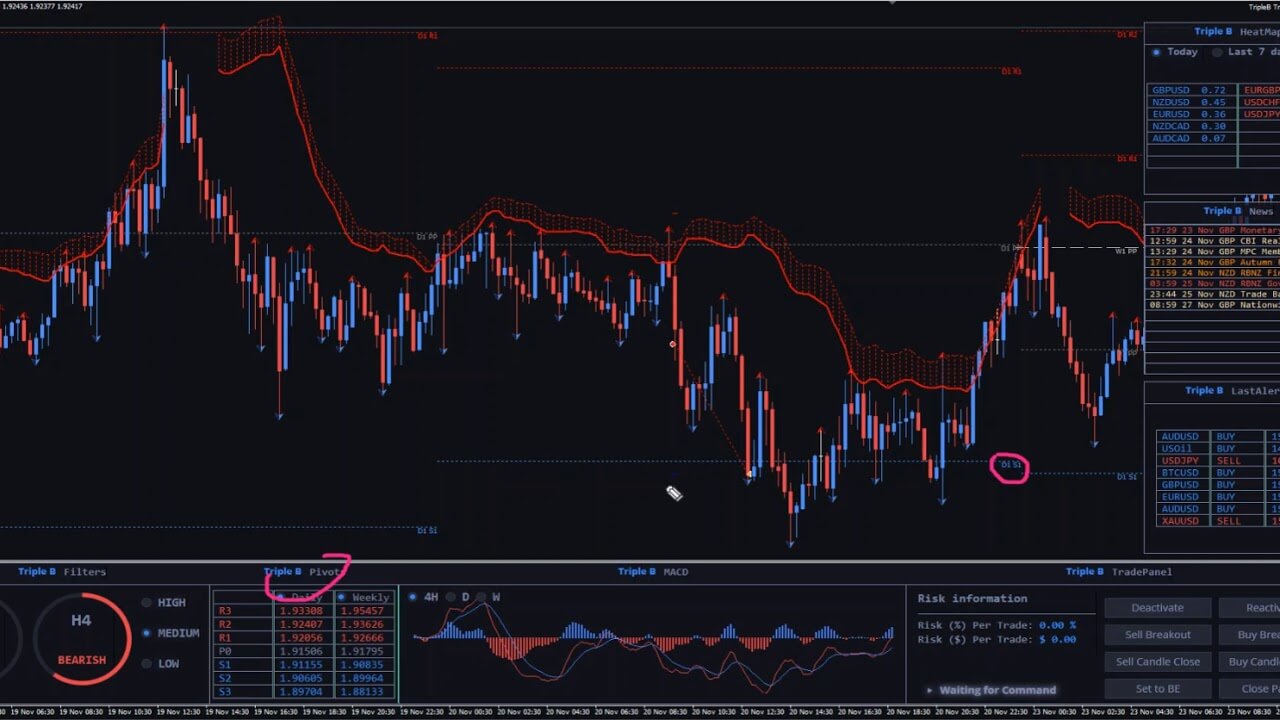 Forex Triple B | Home