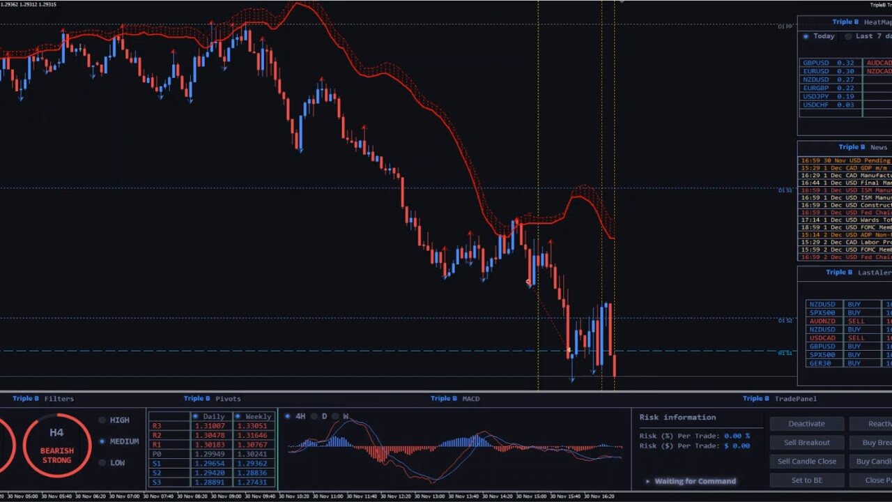 Forex Triple B | Home